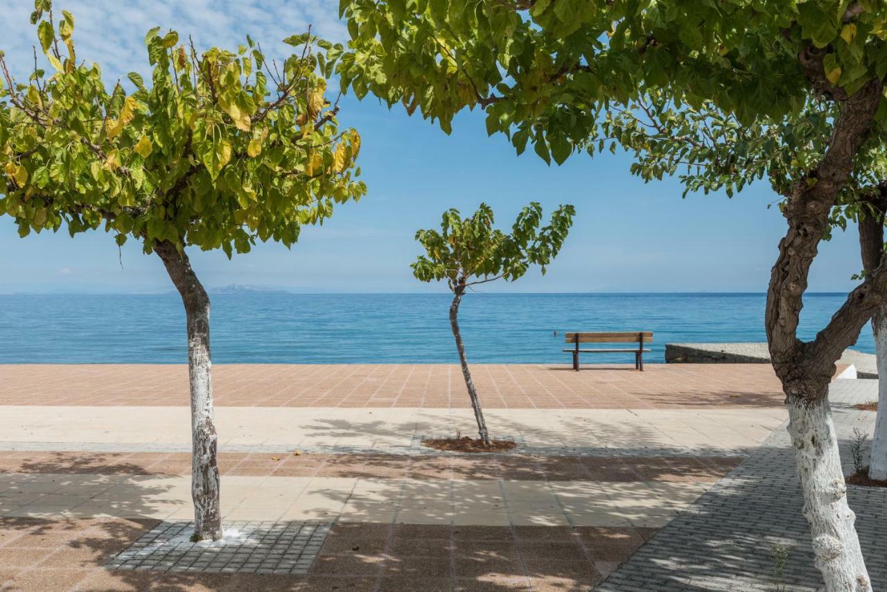 Areti Apartments Poros  Exterior photo